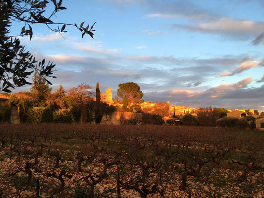 Châteauneuf-du-Pape - www.absoluteorganicwine.com