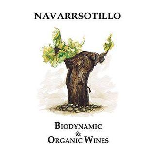 Navarrostillo Rioja Reserva Magister Bibendi Tempranillo Red Wine 2015 - Rioja red wine Ni www.absoluteorganicwine.com